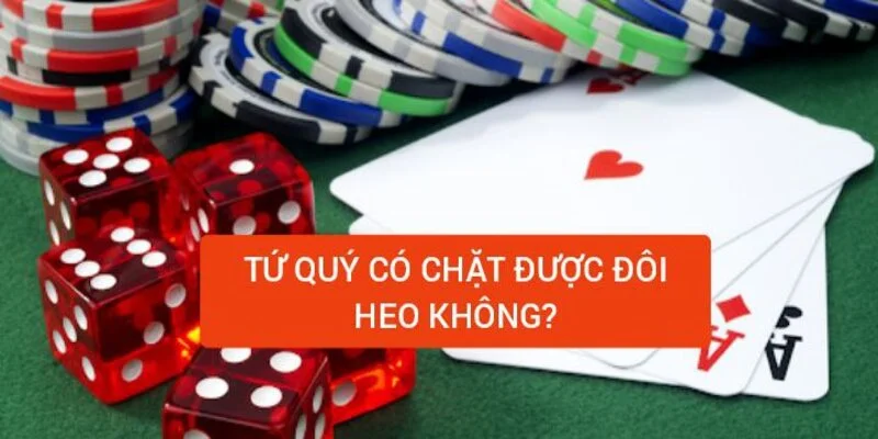 tu-quy-co-chat-duoc-doi-heo-khong