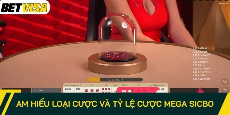 Am hiểu loại cược và tỷ lệ cược Mega Sicbo