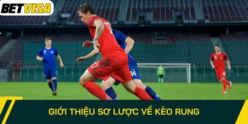 Giới thiệu sơ lược về kèo rung 