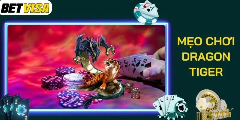 Mẹo chơi Dragon Tiger với gấp thếp